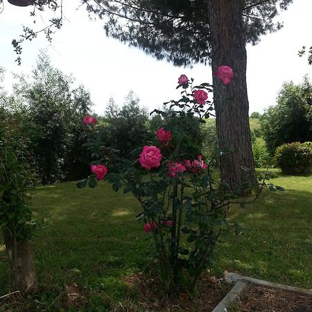 La Finestra Sul Cortile Bed and Breakfast Pomezia Exteriör bild