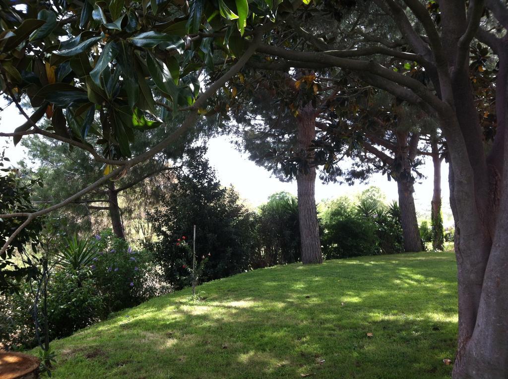 La Finestra Sul Cortile Bed and Breakfast Pomezia Exteriör bild