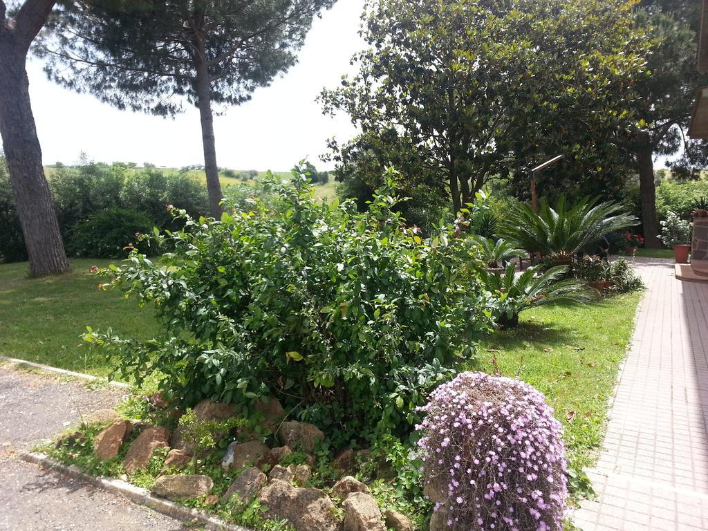 La Finestra Sul Cortile Bed and Breakfast Pomezia Exteriör bild