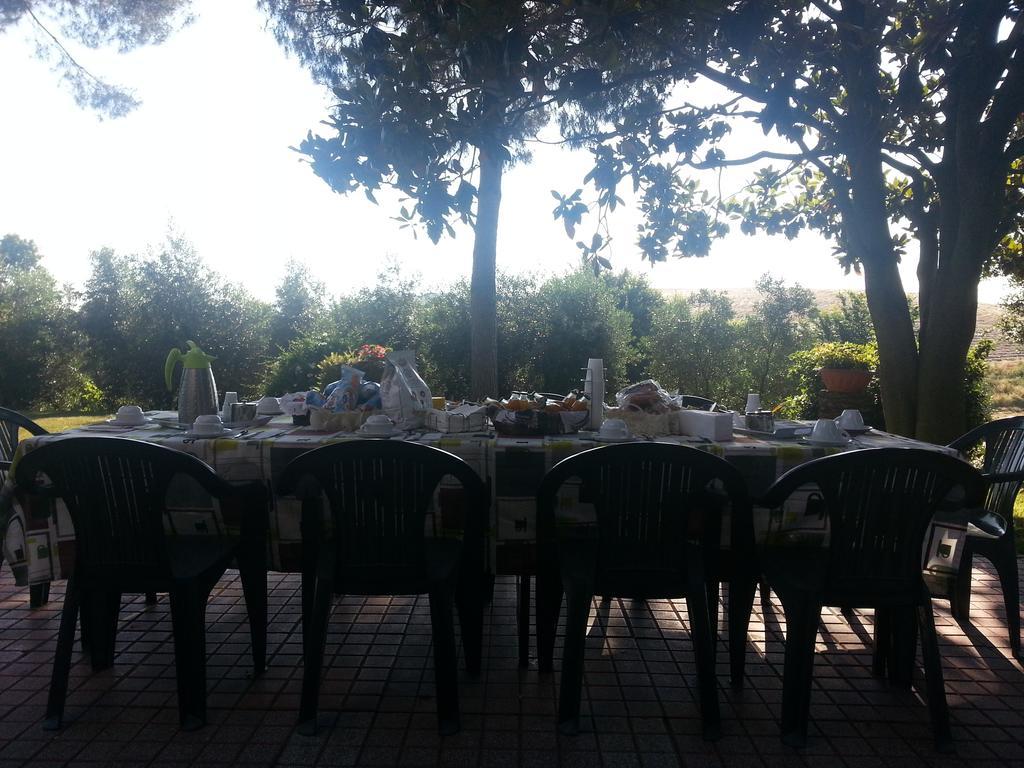 La Finestra Sul Cortile Bed and Breakfast Pomezia Exteriör bild